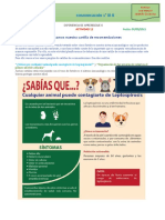 Actividad 12 COMUNIC 1° 07 Setiembre