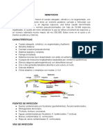 Características: Nematodos