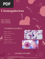 Citomegalovirus