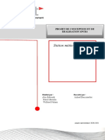 Modele Rapport PCR1 2EM