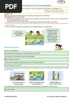 FICHA DE APLICACIÓN - CIENCIA y TECNOLOGÍA-rebeca