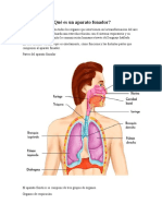 Qué Es Un Aparato Fonador