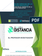 Profesor Investigador