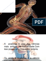 Aula 1 Anatomia e Fisiologia