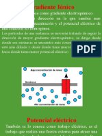 01 Gradiante Ionico, Potencial Electrico, Iones, Atomos y Moleculas