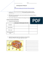 Cell Respiration WebQuest 2015