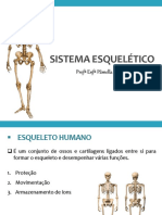 2 Aula - Sistema Esqueletico - Slide