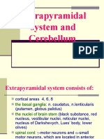 Extrapyramidal System and Cerebellum