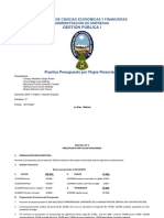 Presupuesto Por Flujos Financieros