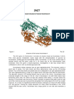 The 3D Structure of The Human Hexokinase II