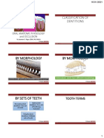 By Morphology by Morphology: by Sets of Teeth