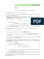 Apoio 10 - Álgebra Linear I