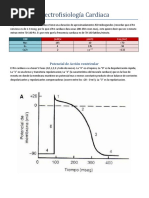 FISIO Electrofisiologia Cardiaca