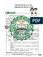How Do The Parts of The Integumentary System Work?: Lesson