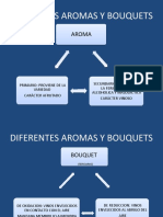 Diferentes Aromas y Bouquets