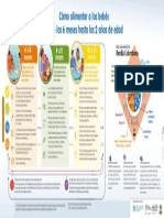 Infografia Alimentacion Complementaria