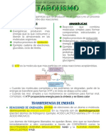 Metabolismo - Estructura y Función Del Cuerpo Humano UNS