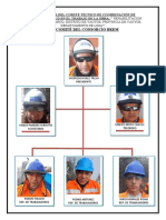 Organigrama Comité SST - Yauyos