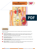 Kidneys