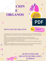 Donacion de Organos DP