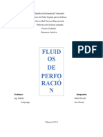 Ensayo Nº 2 Fluidos de Perforacion