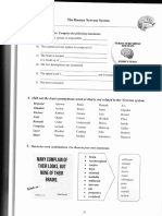 The Human Nervous: System