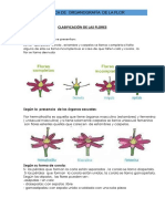 Clasificación de Las Flores