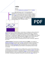 Difusão Molecular DAMAS