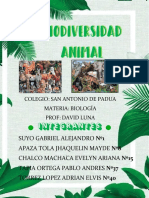 Biodiversidad Animal-Avance Biologia