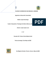 Cuadro Comparativo - Fenología de Cultivos Básicos y Árboles Frutales