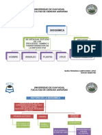 Bioquimica Mapasconceptuales 120804192456 Phpapp02