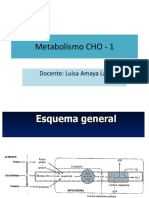 Metabolismo Cho-19-I II Unidad