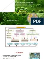 Clase 2 - Bacterias Estructura Fisiologica