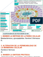 Antimicrobianos Farm Mat 2020