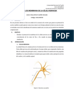 Potencial de Membrana de La Célula Nerviosa