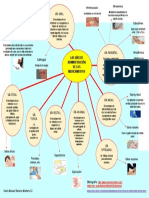 Vias de Administracion de Los Meticamentos - Amfc - Kevin 5J