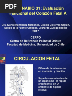 Seminario 31 - Evaluacion Funcional Del Corazon Fetal A - Archivo