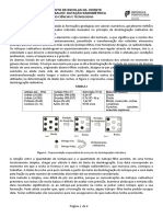 Ficha de Trabalho - Datação Radiométrica