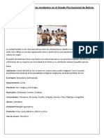 Ocupación de Las 37 Etnias Residentes en El Estado Plurinacional de Bolivia