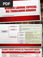 Regimen Laboral Agrícola