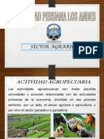 Sector Agrario