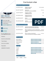 Idir Aliche CV 2020