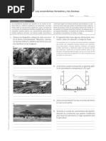 Taller Biomas Terrestres