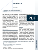 Periocularanatomy Andaging: Lily P. Love,, Edward H. Farrior