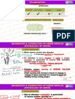 Ionic Channel Na - K Pump Na VGC K VGC: Mambrane Potential With Value (MV) Inside Charge