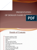 Presentation of Domain Name System