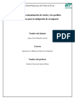 Factores de Contaminación de Suelos y Las Posibles Actuaciones para La Mitigación de Su Impacto