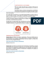 Clasificación de La Voz Humana