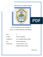 Informe Proceso Abreviado Final