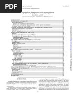 Aspergillus Fumigatus and Aspergillosis